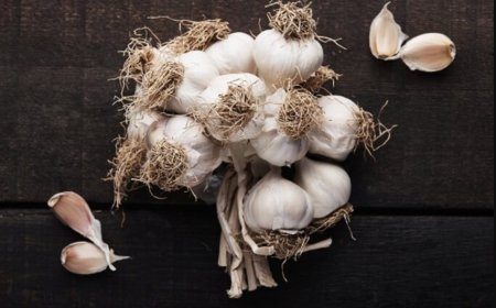 The Ancient Secret of Garlic