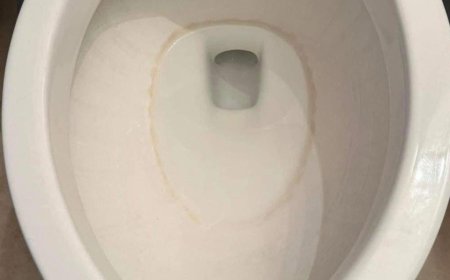 How to Remove Hard Water Stains From a Toilet Bowl