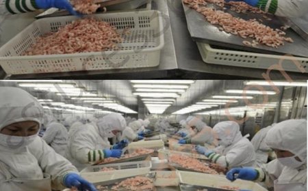 8 Foods Made in China You Should No Longer Eat