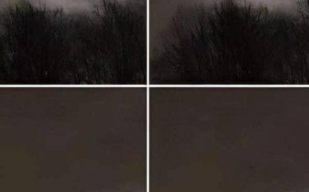 My brother took this photo about 13 miles from our house – any idea what it might be