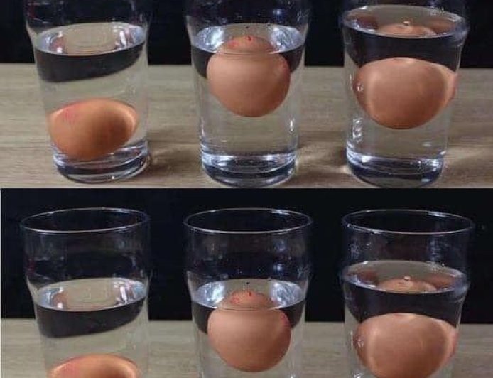 5 Ways to Tell If an Egg Is Fresh or Rotten – No Guesswork Needed