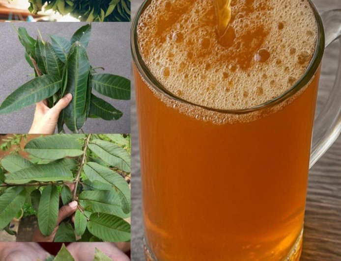 The four medicinal leaves: Avocado leaves, mango leaves, bay leaves, and guava leaves