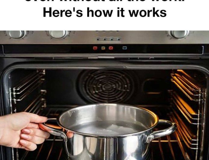 Effortless Oven Cleaning: The Water and Ammonia Method