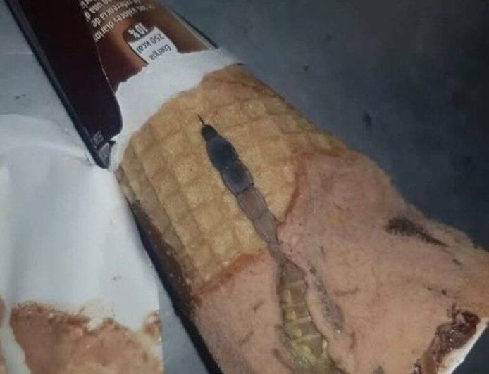 My Daughter Found Something Terrifying Hidden Inside Her Chocolate Ice Cream