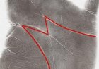 The Hidden Meaning of the “M” on Your Palm: What It Reveals About Life, Love, and Destiny