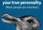 What the First Animal You See Reveals About Your Personality