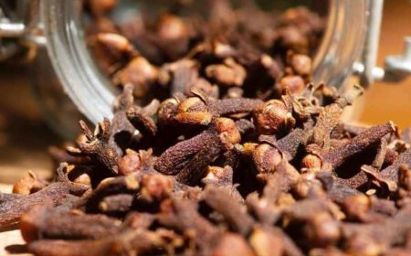 Clove Tea Recipe – A Natural Wellness Drink