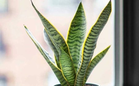 Ooops, guess I’ve been doing this wrong