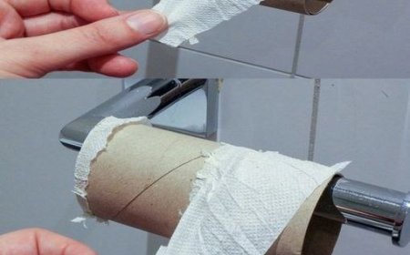 The end of toilet paper? Which could soon replace our usual rolls