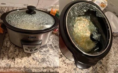 11 Foods You Should Never Put in a Slow Cooker