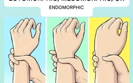 Are you an ectomorph, mesomorph, or endomorph? Discover your body type and how to make the most of it.