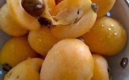 This is a simple and easy recipe to benefit from the joke