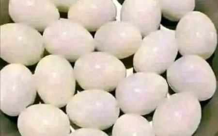 Eye Test!! Count The Eggs