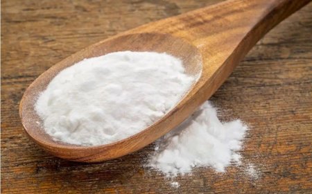 Put this in your house for 1 hour and you will never see flies, mosquitoes or cockroaches again