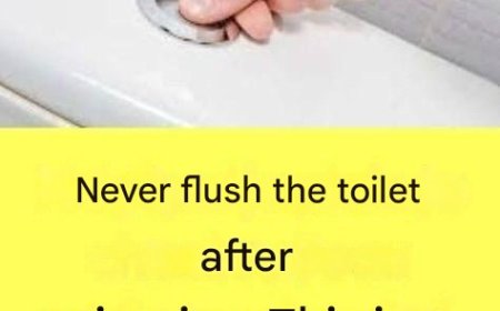 Why Is It Extremely Important Not to Flush the Toilet After Every Urination?