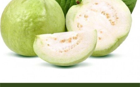 Guava: Health Benefits and Side Effects (Doctor-Reviewed Facts)