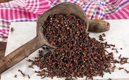 Unlock the Secret to Vibrant Health: The Cloves, Ginger, and Lipton Tea Elixir You’ll Wish You Knew Sooner