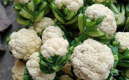 What Happens When You Eat Cauliflower