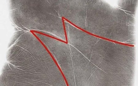 The Hidden Meaning of the “M” on Your Palm: What It Reveals About Life, Love, and Destiny
