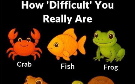 How Your Choice in a Simple “Odd One Out” Puzzle Reveals Your Unique Thinking Style