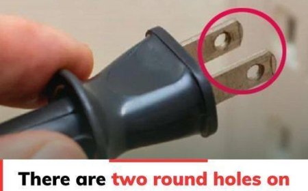 Why Your Electrical Plug Has Two Tiny Holes—and the Smart Reasons Behind Them