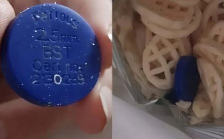 We Discovered a Strange Blue Object in a Bag of Chips—and the Truth Behind It Was Eye-Opening