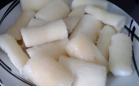 Cassava Safety Explained: What Older Adults Should Know