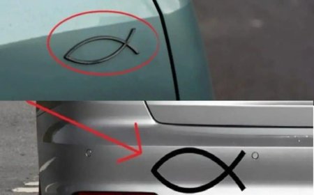 What the Small Fish Symbol on the Back of Some Cars Really Means and Why It Still Matters Today