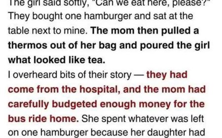 The Simple Lunch That Renewed My Faith in Everyday Kindness