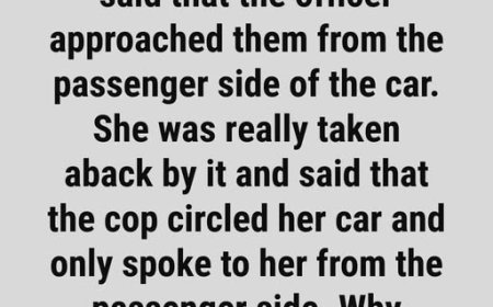 Understanding Traffic Stops: What Every Driver Should Know to Stay Calm and Safe