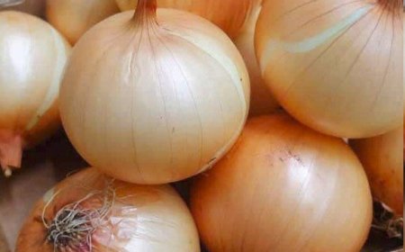 Doctors Reveal That Eating Onions Causes… Good Things!