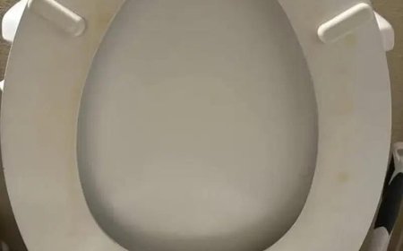 How I Got Rid of a Yellow Toilet Ring Without Replacing the Seat