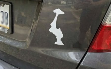 Why Drivers Display This Upside-Down Sticker on Their Cars