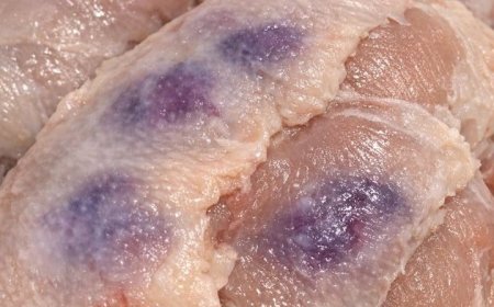 Thawed chicken breasts and noticed purple blotches under the skin. Safe to cook or throw out
