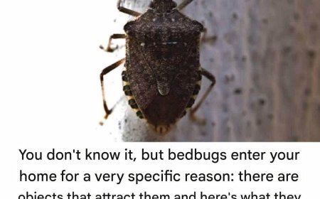 Key factual correction (very important)