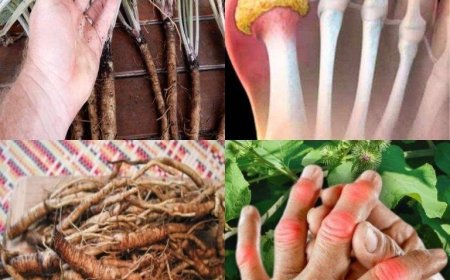 This plant destroys cancer cells