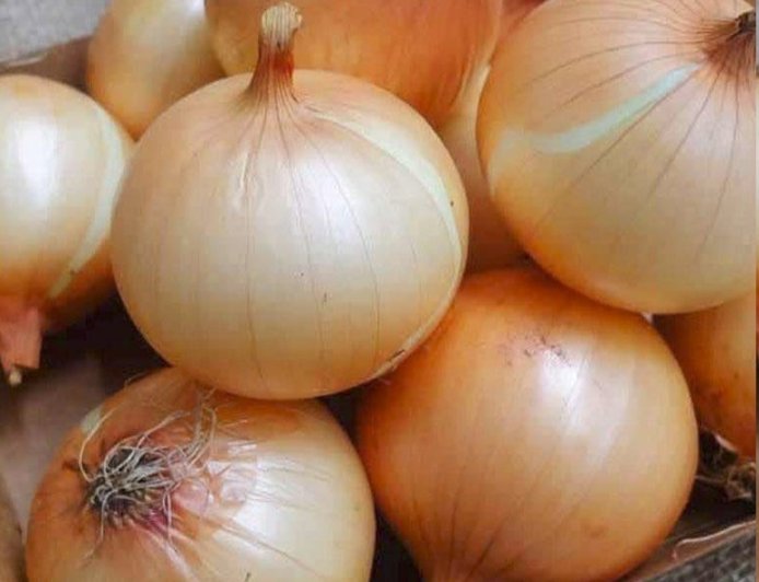 Doctors Reveal That Eating Onions Causes… Good Things!