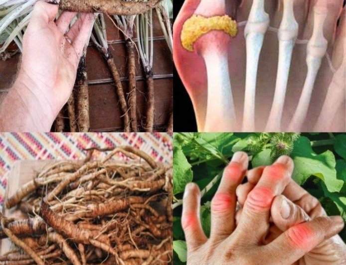 This plant destroys cancer cells