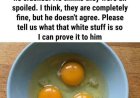 The White Strand Inside an Egg Explained: Why It Looks Unusual, What It Does, and How It Quietly Signals Freshness and Safety