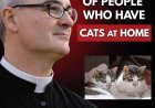 Spiritual reflections on the meaning of having cats at home.