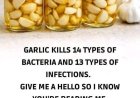 Garlic: The Natural Antibiotic That Wages War on Infections