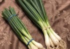 Difference Between Green Onions, Scallions, Spring Onions and Chives