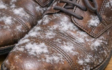 I pulled out shoes I haven’t worn all winter and found white fuzzy patches growing on the leather. What is this?