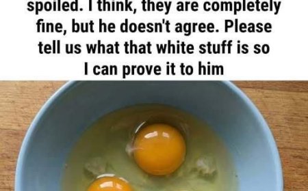 The White Strand Inside an Egg Explained: Why It Looks Unusual, What It Does, and How It Quietly Signals Freshness and Safety