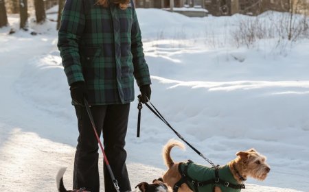 My Neighbor Complained About My Rescue Dogs — But the Situation Took an Unexpected Turn