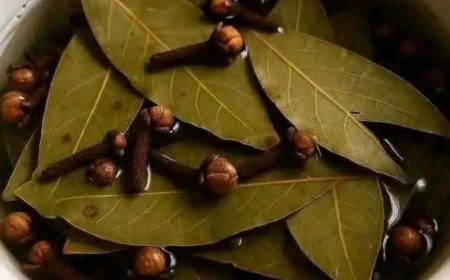 Bay Leaf and Clove Herbal Tea