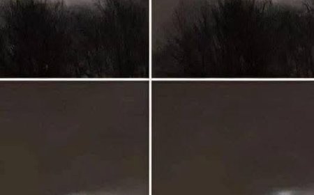 My brother took this photo about 13 miles from our house – any idea what it might be