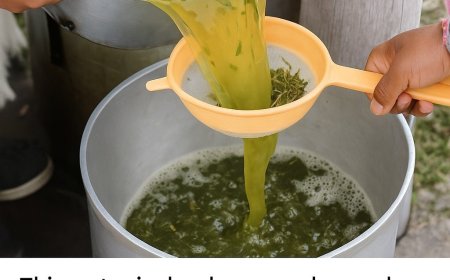 Natural Juice That’s Packed With Benefits