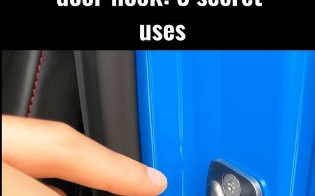 The hook on the car door