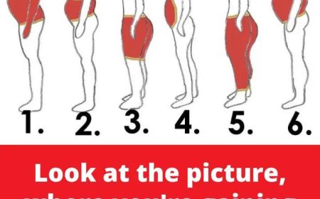 See where you’re accumulating fat and we’ll tell you how to fix it.